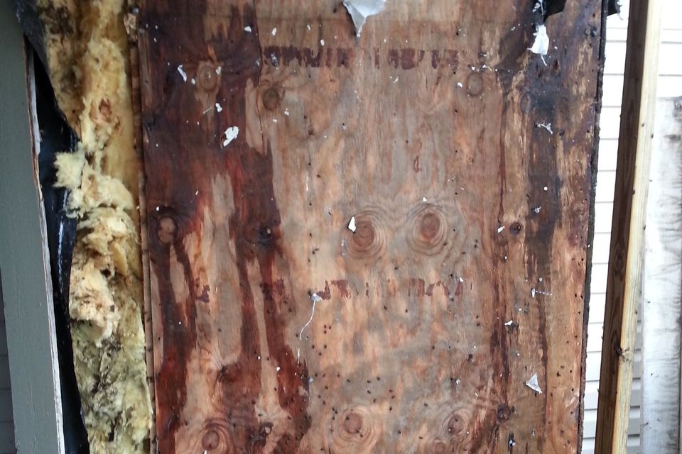 Rotted sheathing behind siding that looked fine from the street